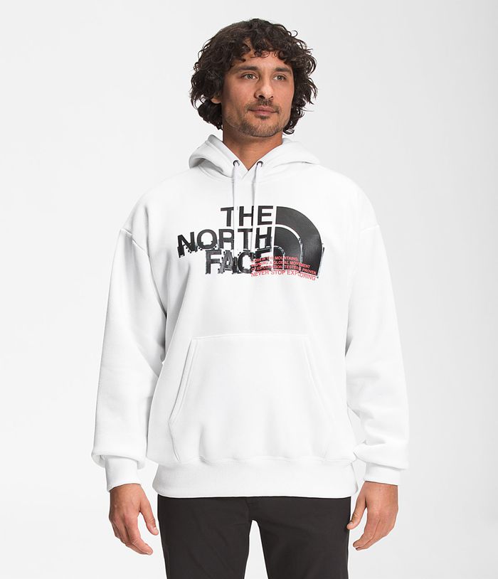 Sudadera Con Capucha The North Face Hombre Coordinates Pullover Blancas - Peru 04386ZNVP